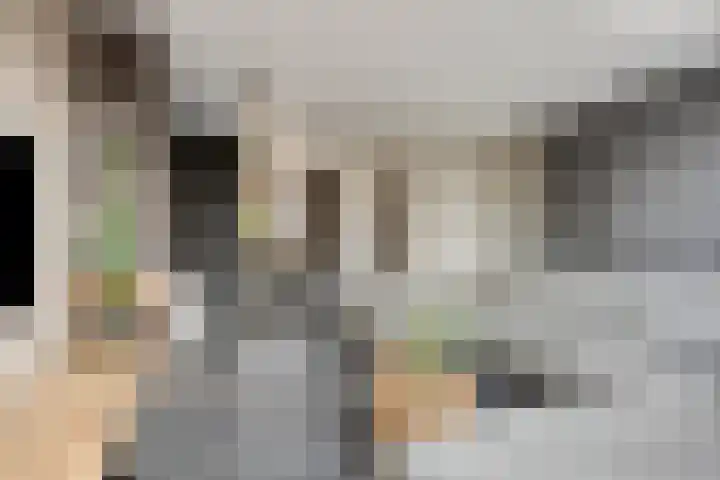 Jan van Brabantstraat 8 Boxtel thumbnail 6