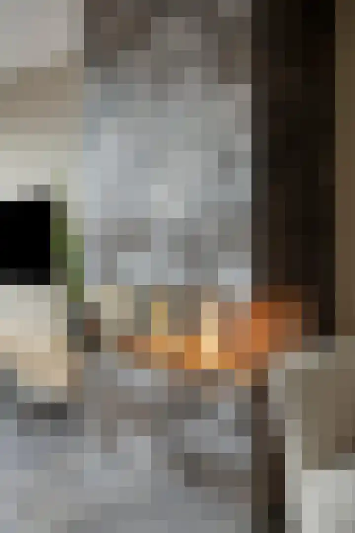 Jan van Brabantstraat 8 Boxtel thumbnail 7