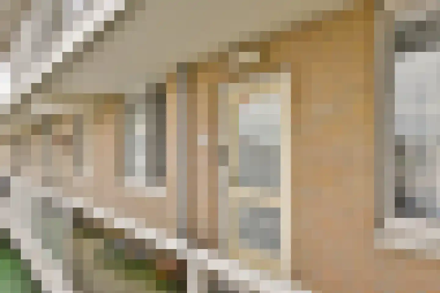 Jan van Brabantweg 206 Sassenheim thumbnail 20
