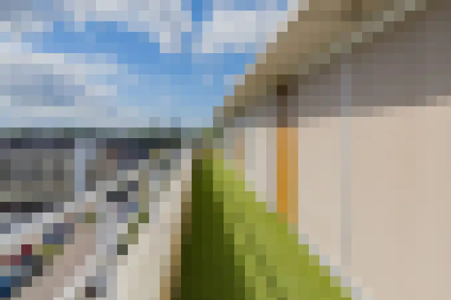 Jan van Brabantweg 511 Sassenheim thumbnail 26