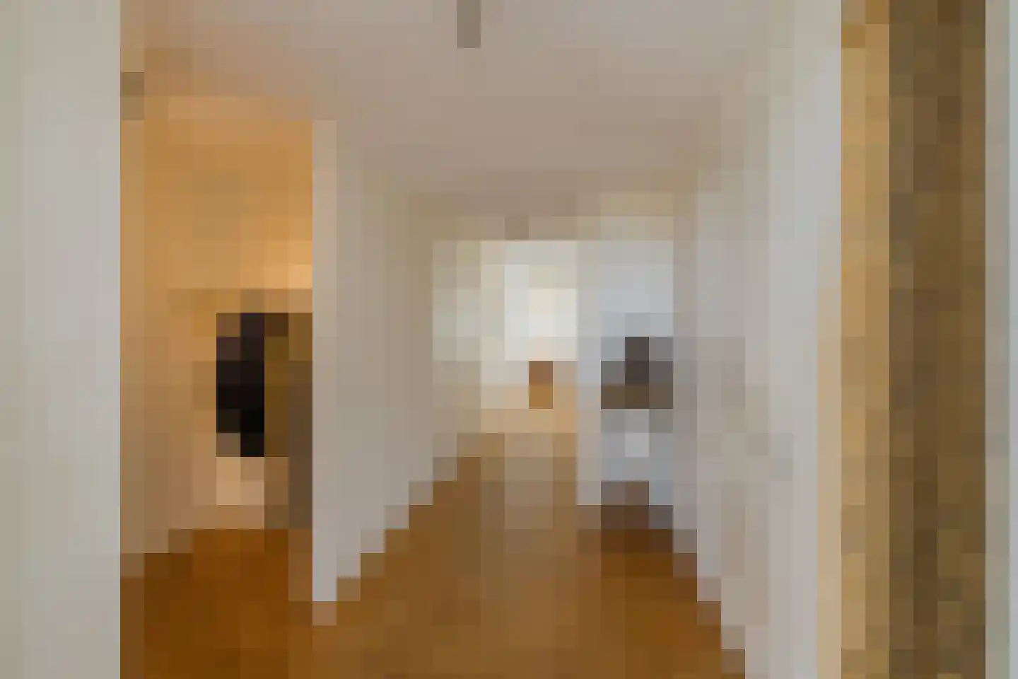 Jan van Brabantweg 511 Sassenheim thumbnail 8