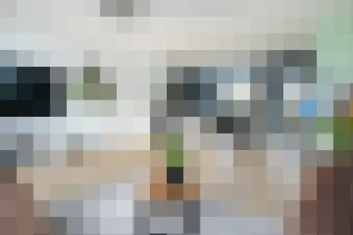Jan van Brakelpad 31 Hellevoetsluis thumbnail 16
