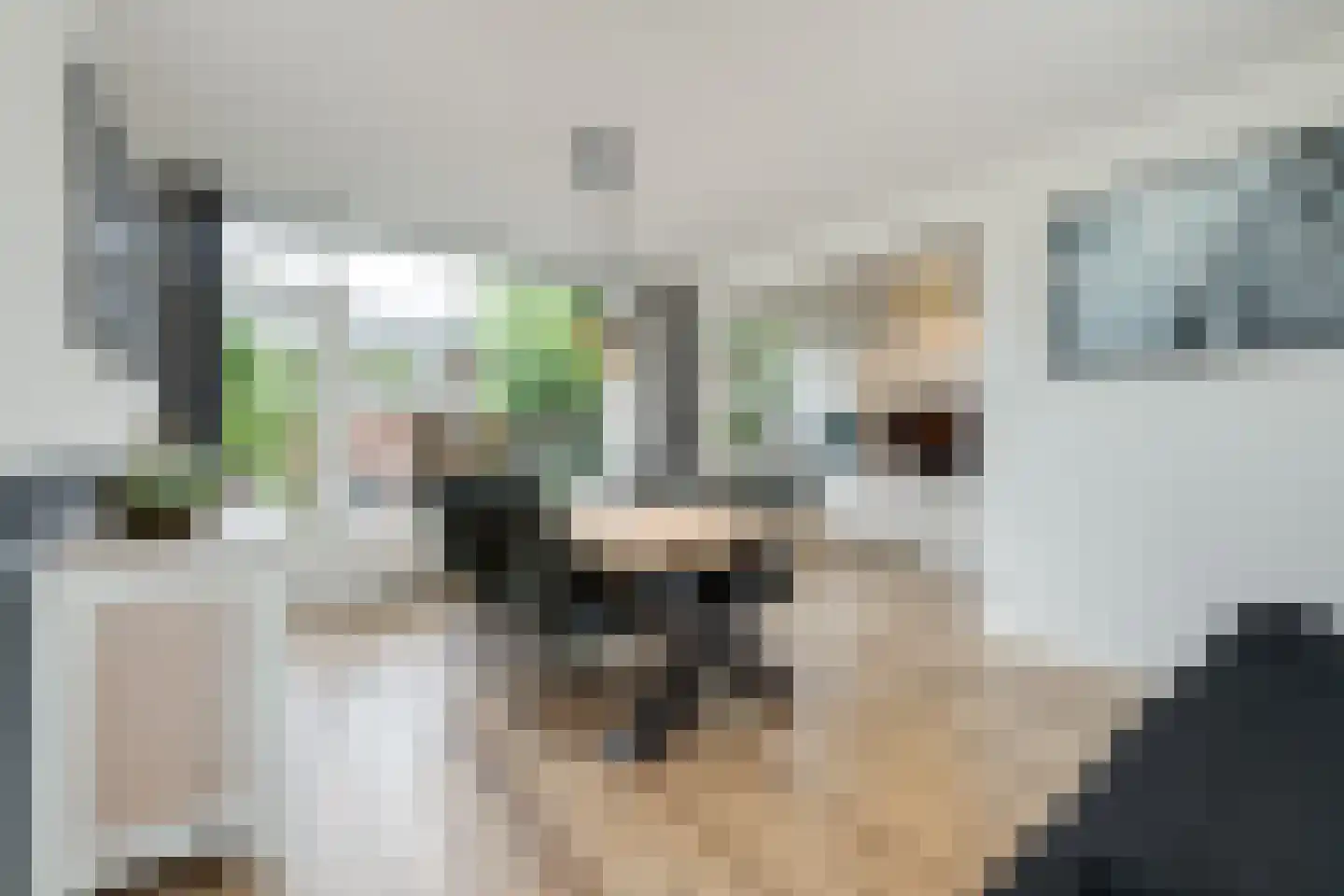 Jan van Brakelplantsoen 13 Voorschoten thumbnail 10