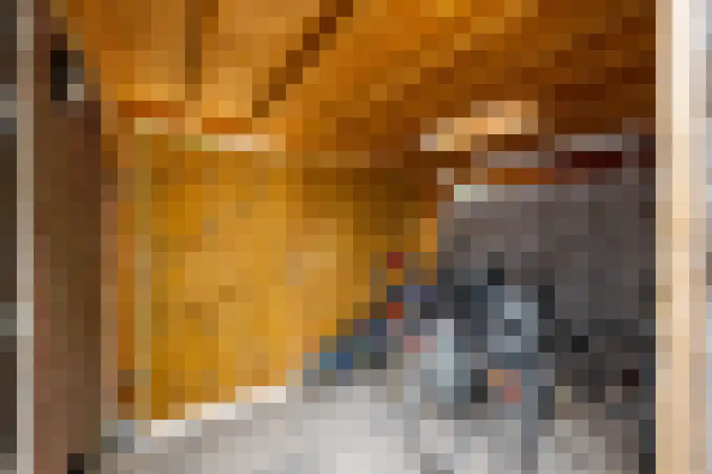 Jan van Brakelplantsoen 13 Voorschoten thumbnail 20
