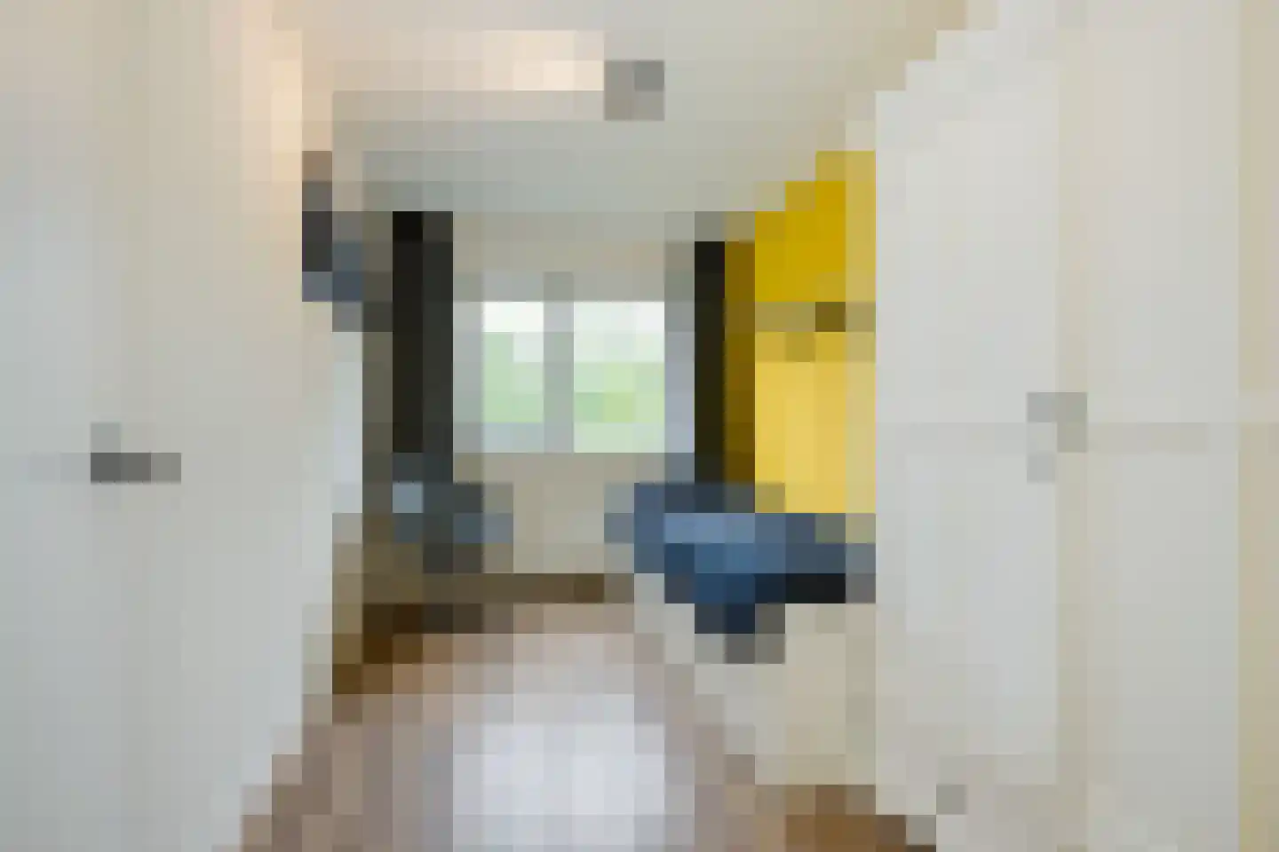 Jan van Brakelplantsoen 13 Voorschoten thumbnail 24