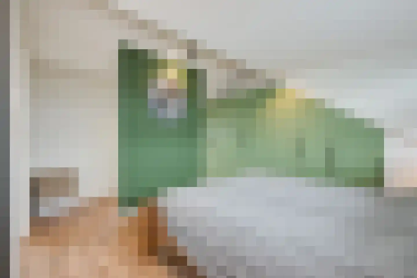 Jan van Brakelplantsoen 13 Voorschoten thumbnail 33
