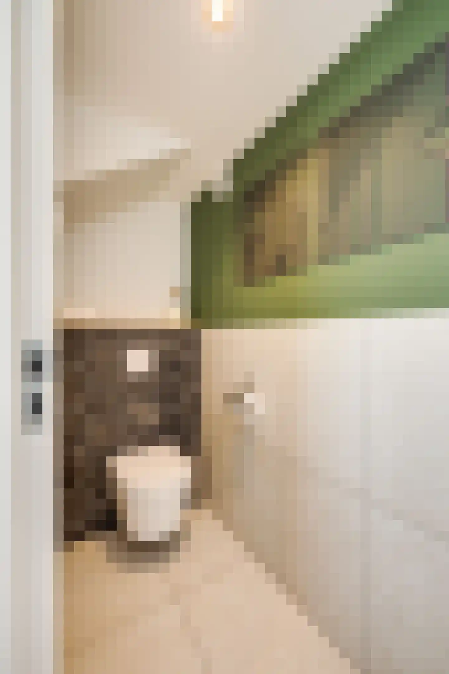 Jan van Brakelplantsoen 13 Voorschoten thumbnail 35