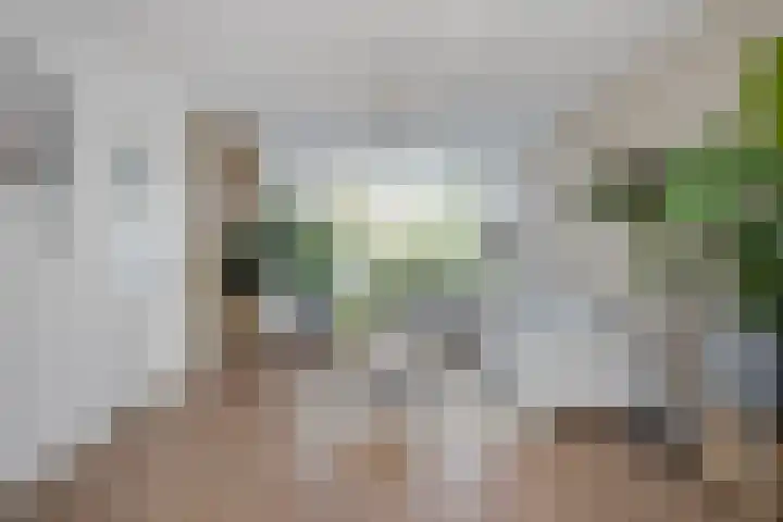 Jan van Brakelplantsoen 3 Voorschoten thumbnail 10