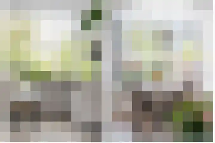 Jan van Brakelplantsoen 3 Voorschoten thumbnail 12