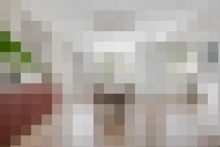 Jan van Brakelplantsoen 3 Voorschoten thumbnail 13