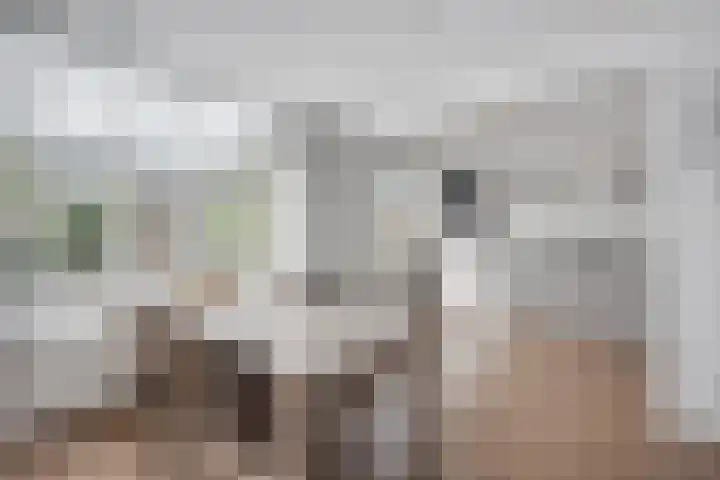 Jan van Brakelplantsoen 3 Voorschoten thumbnail 14