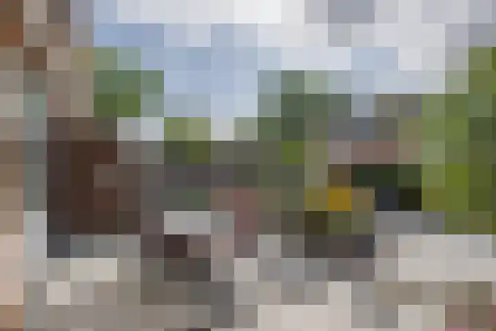 Jan van Brakelplantsoen 3 Voorschoten thumbnail 18