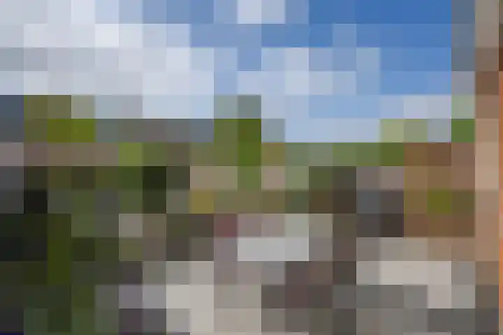 Jan van Brakelplantsoen 3 Voorschoten thumbnail 19