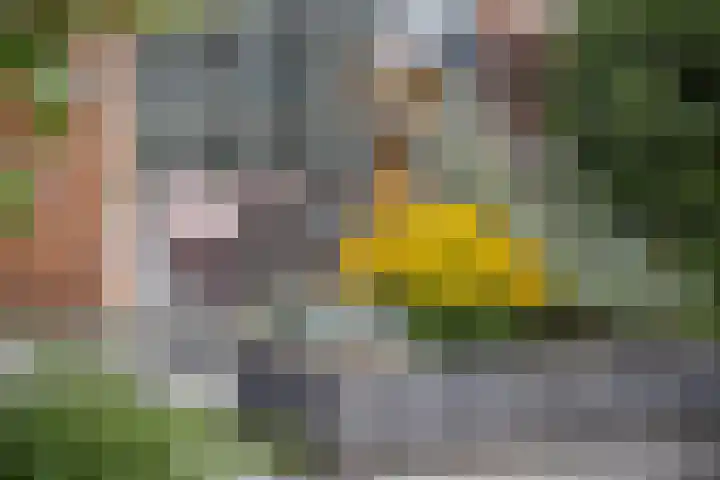 Jan van Brakelplantsoen 3 Voorschoten thumbnail 26