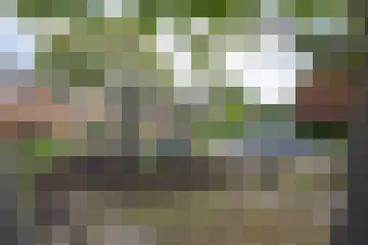 Jan van Brakelplantsoen 3 Voorschoten thumbnail 39