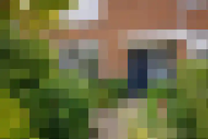 Jan van Brakelplantsoen 3 Voorschoten thumbnail 4
