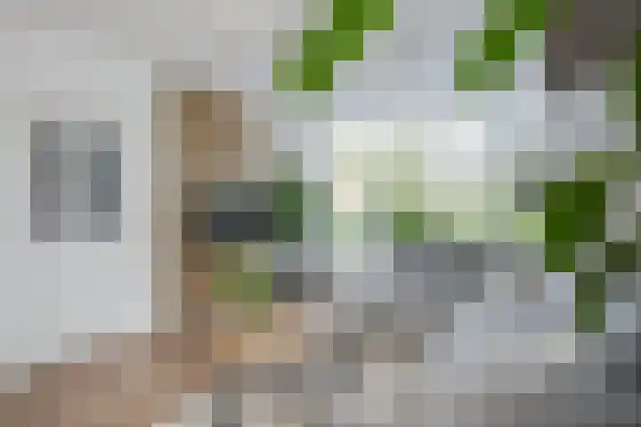 Jan van Brakelplantsoen 3 Voorschoten thumbnail 8