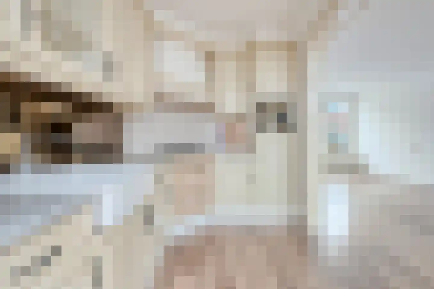 Jan van Brakelstraat 10 's-Hertogenbosch thumbnail 15