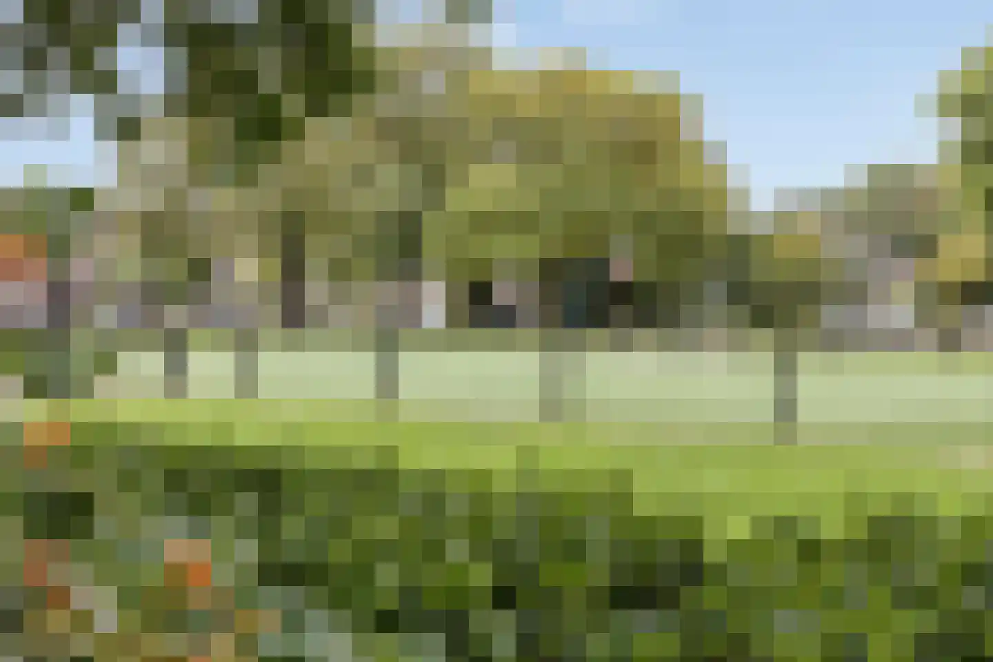 Jan van Brakelstraat 10 's-Hertogenbosch thumbnail 29