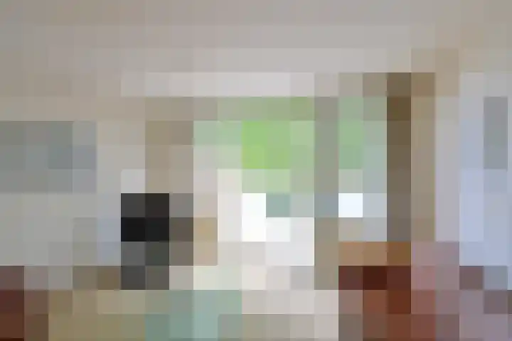 Jan van Brakelstraat 53 Huizen thumbnail 6