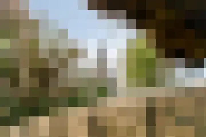 Jan van Bruhezestraat 15 Steenbergen thumbnail 35