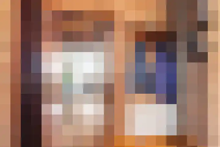 Jan van Bruhezestraat 15 Steenbergen thumbnail 8