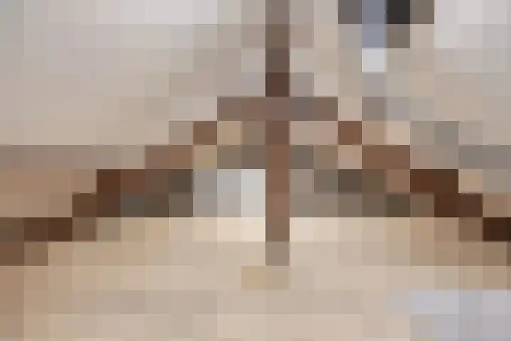 Jan van Cuijkstraat 14 Cuijk thumbnail 42