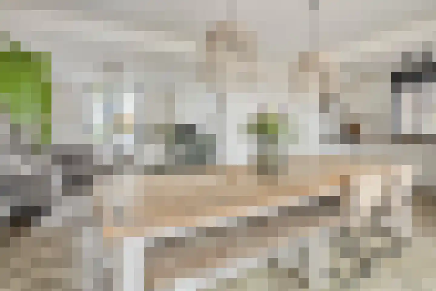 Jan van Cuijkstraat 30 Cuijk thumbnail 8
