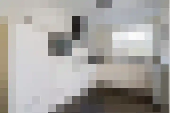 Jan van Cuijkstraat 55 Cuijk thumbnail 17