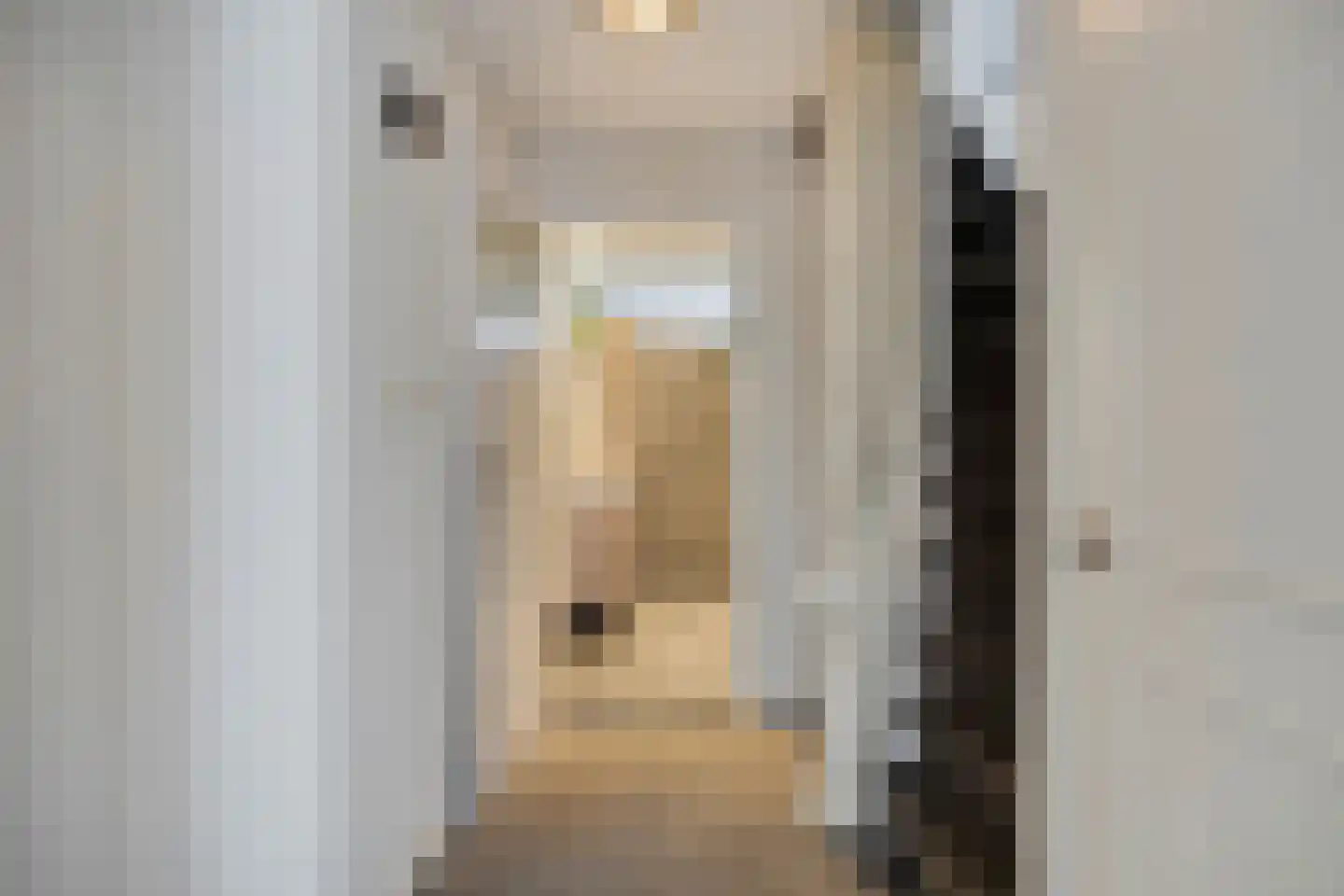 Jan van Cuykstraat 2 Schijndel thumbnail 26