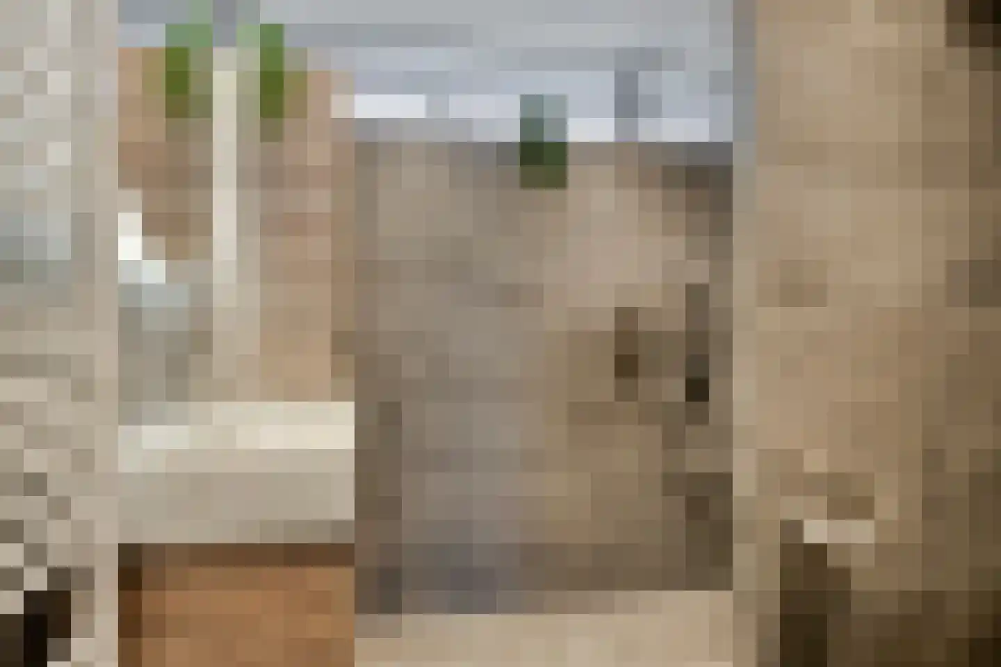 Jan van Cuykstraat 2 Schijndel thumbnail 4