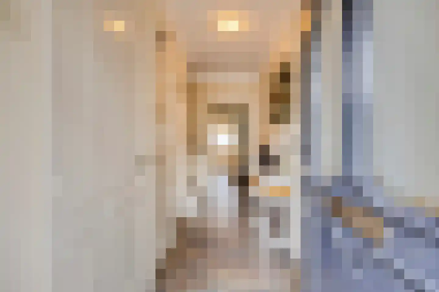 Jan van Cuykstraat 2 Schijndel thumbnail 8