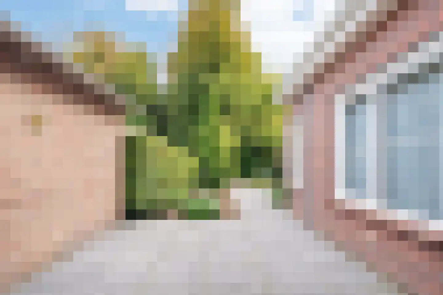 Jan van Cuykstraat 78 Schijndel thumbnail 33