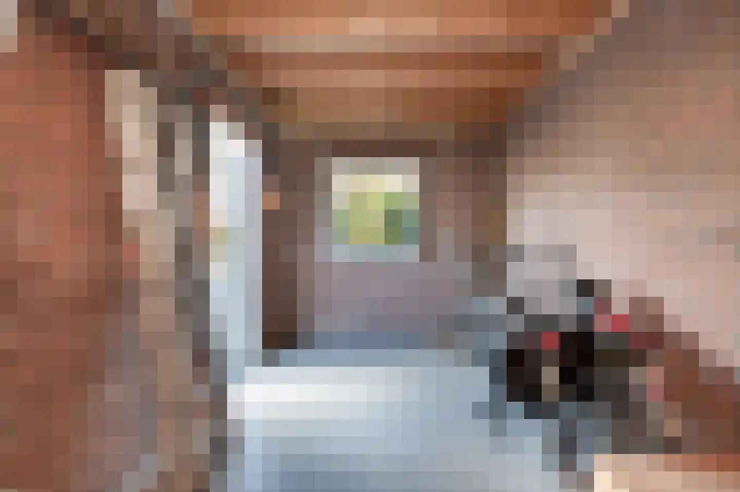 Jan van Cuykstraat 78 Schijndel thumbnail 35