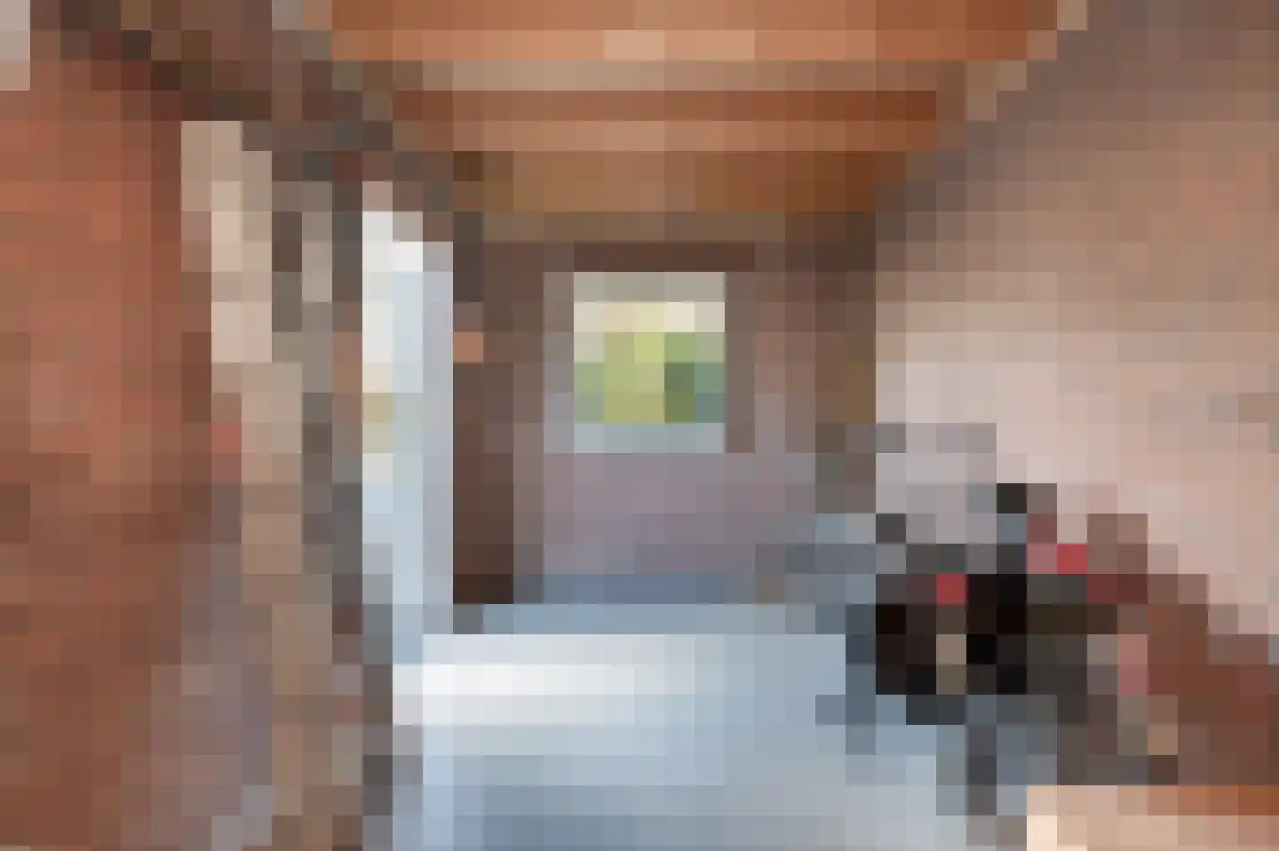 Jan van Cuykstraat 78 Schijndel thumbnail 38