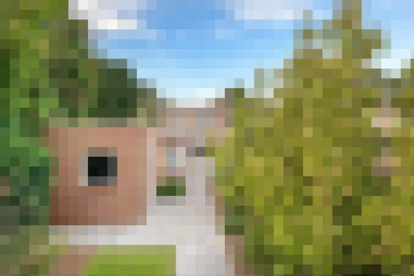 Jan van Cuykstraat 78 Schijndel thumbnail 4