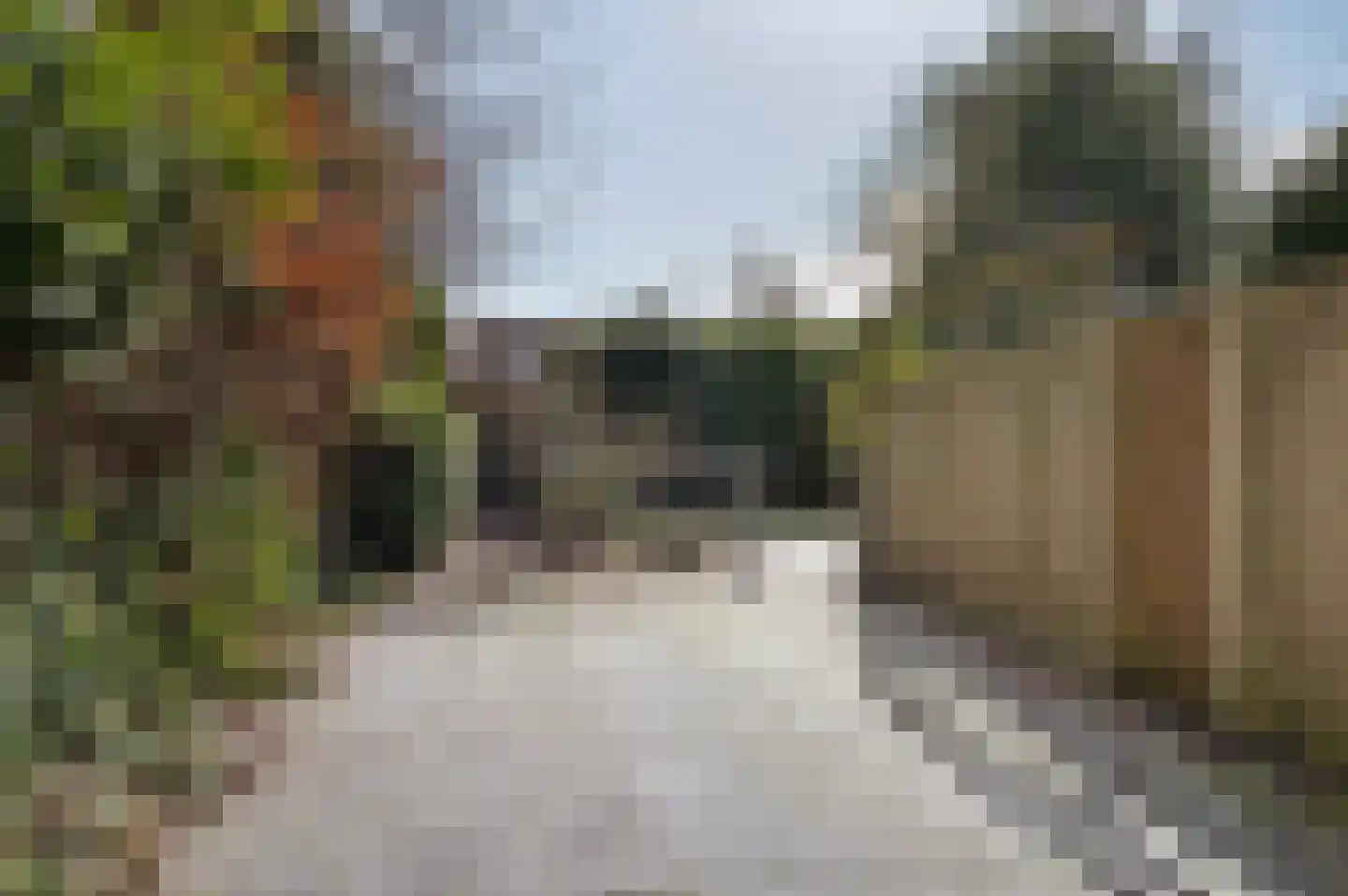 Jan van Cuykstraat 78 Schijndel thumbnail 40
