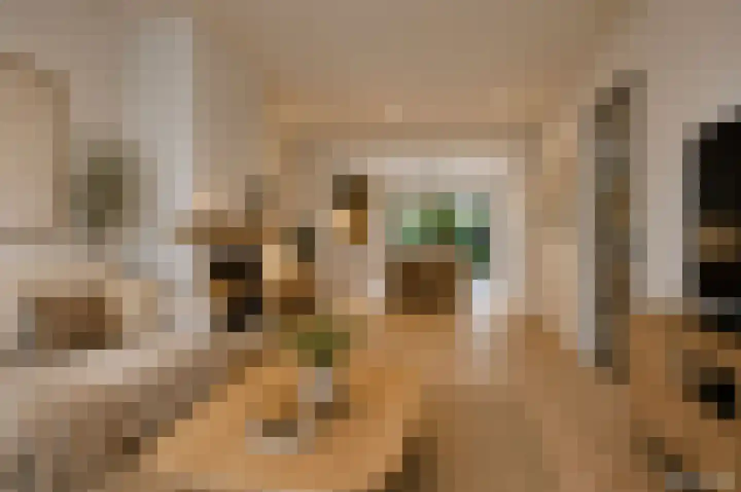 Jan van Cuykstraat 78 Schijndel thumbnail 7