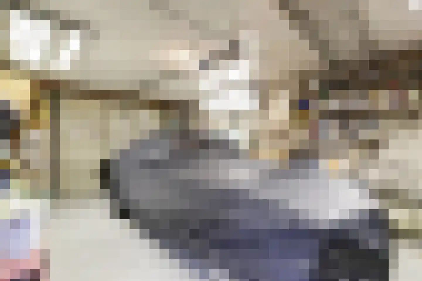 Jan van Daalstraat 30 Beers NB thumbnail 23