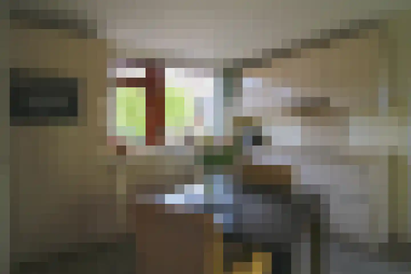 Jan van Daalstraat 30 Beers NB thumbnail 23