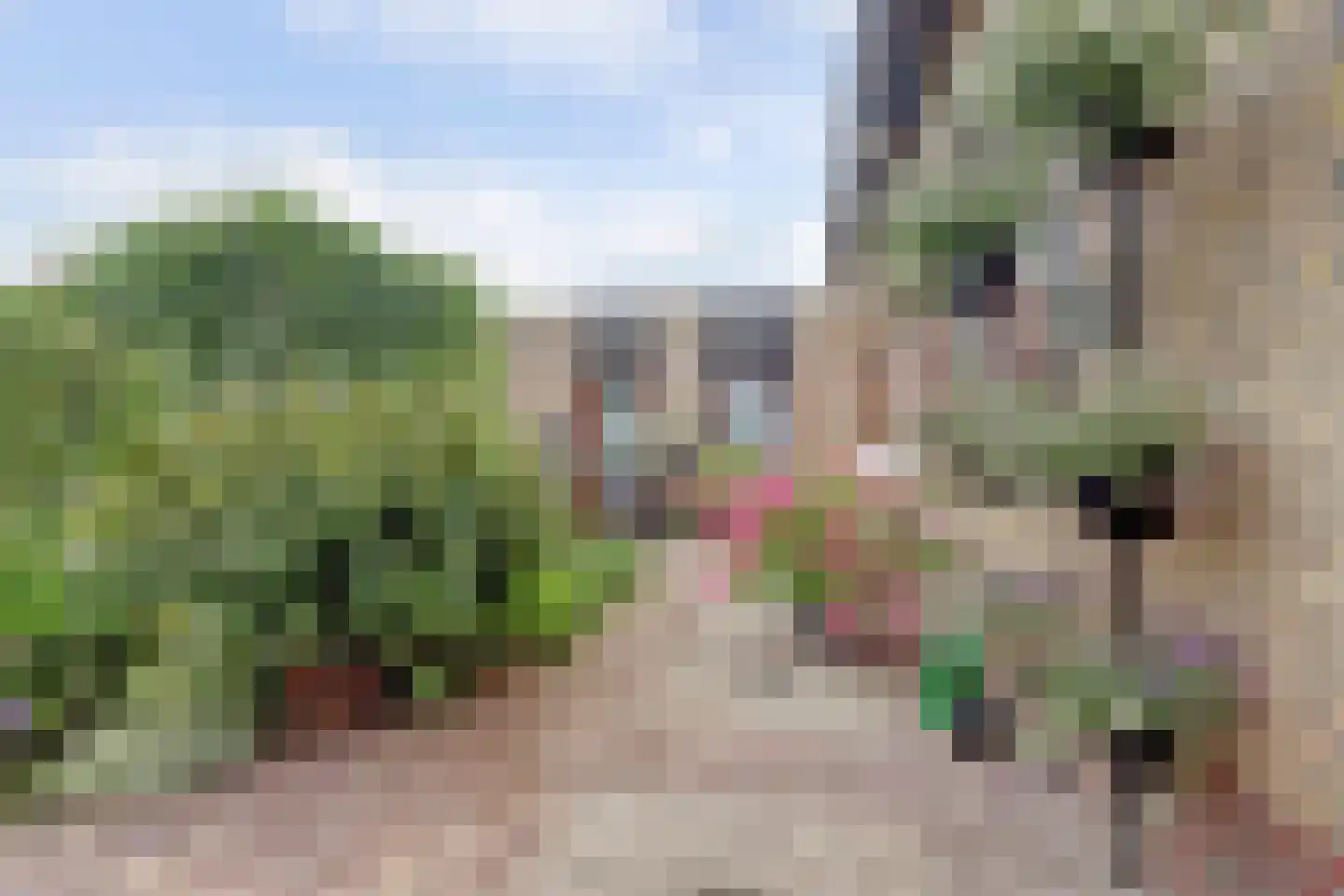 Jan van Daalstraat 30 Beers NB thumbnail 37