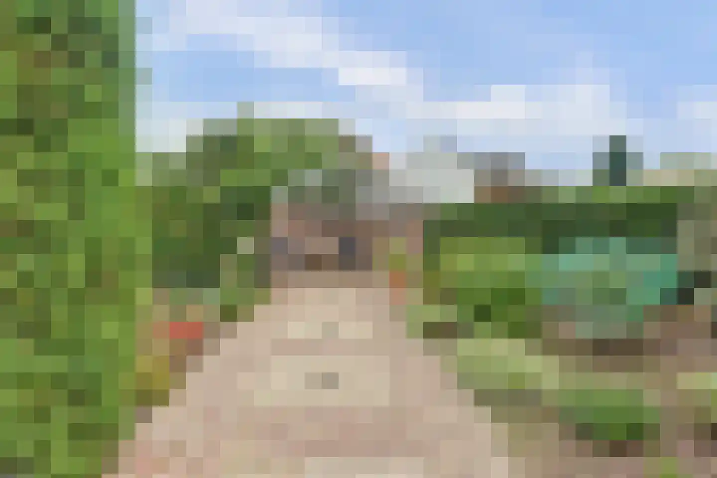 Jan van Daalstraat 30 Beers NB thumbnail 39