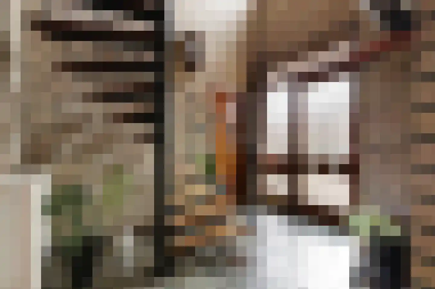 Jan van Daalstraat 30 Beers NB thumbnail 8