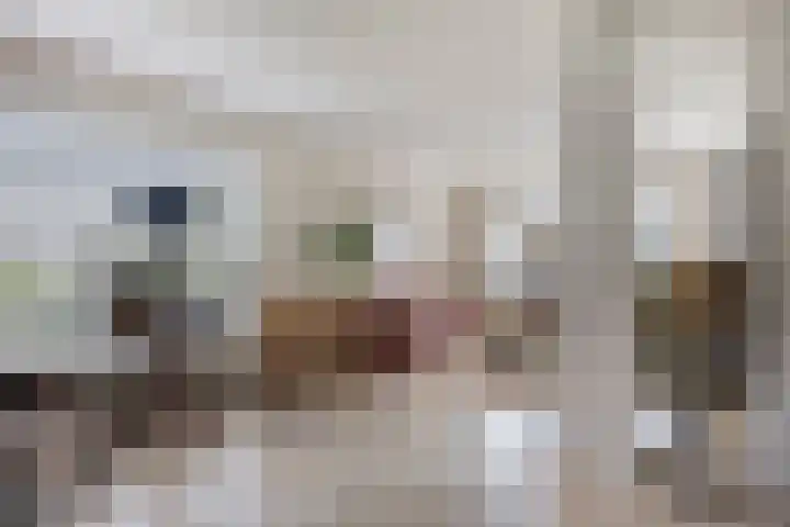 Jan van Daalstraat 32 Beers NB thumbnail 17
