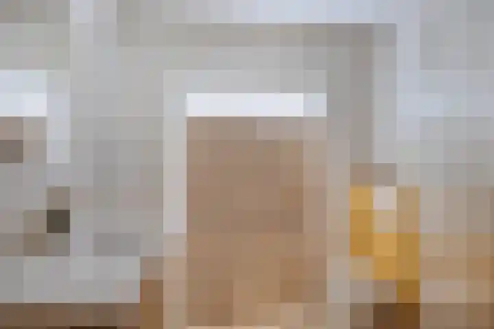 Jan van Daalstraat 32 Beers NB thumbnail 26