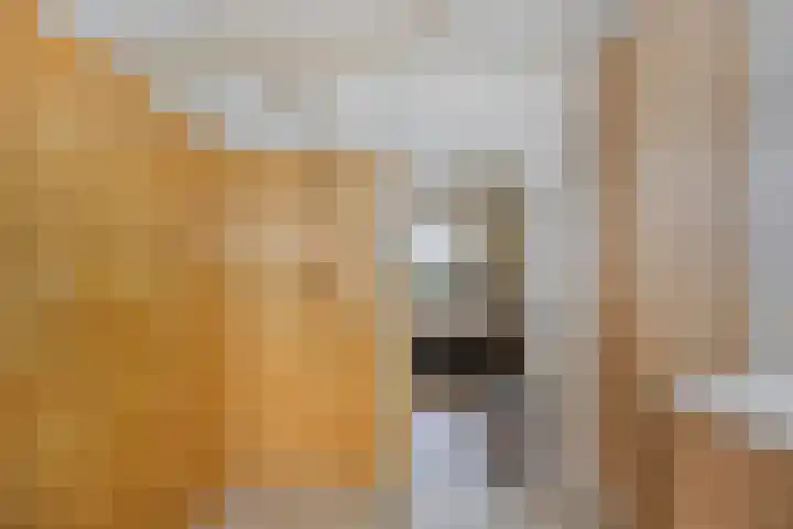 Jan van Daalstraat 32 Beers NB thumbnail 27