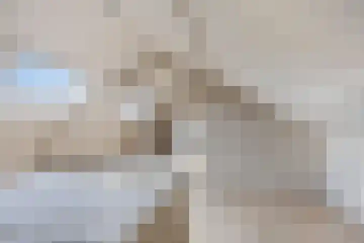 Jan van Daalstraat 32 Beers NB thumbnail 30