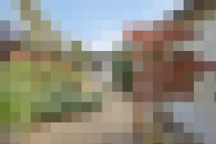 Jan van Daalstraat 32 Beers NB thumbnail 36