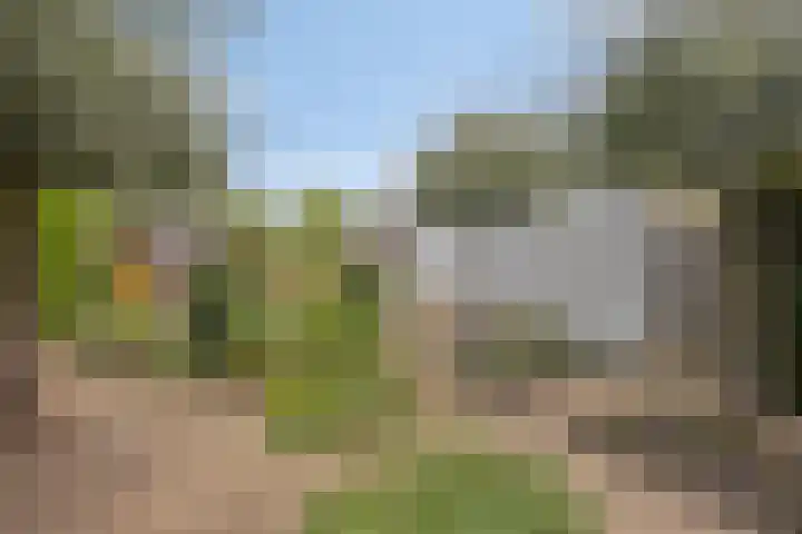 Jan van Daalstraat 32 Beers NB thumbnail 39