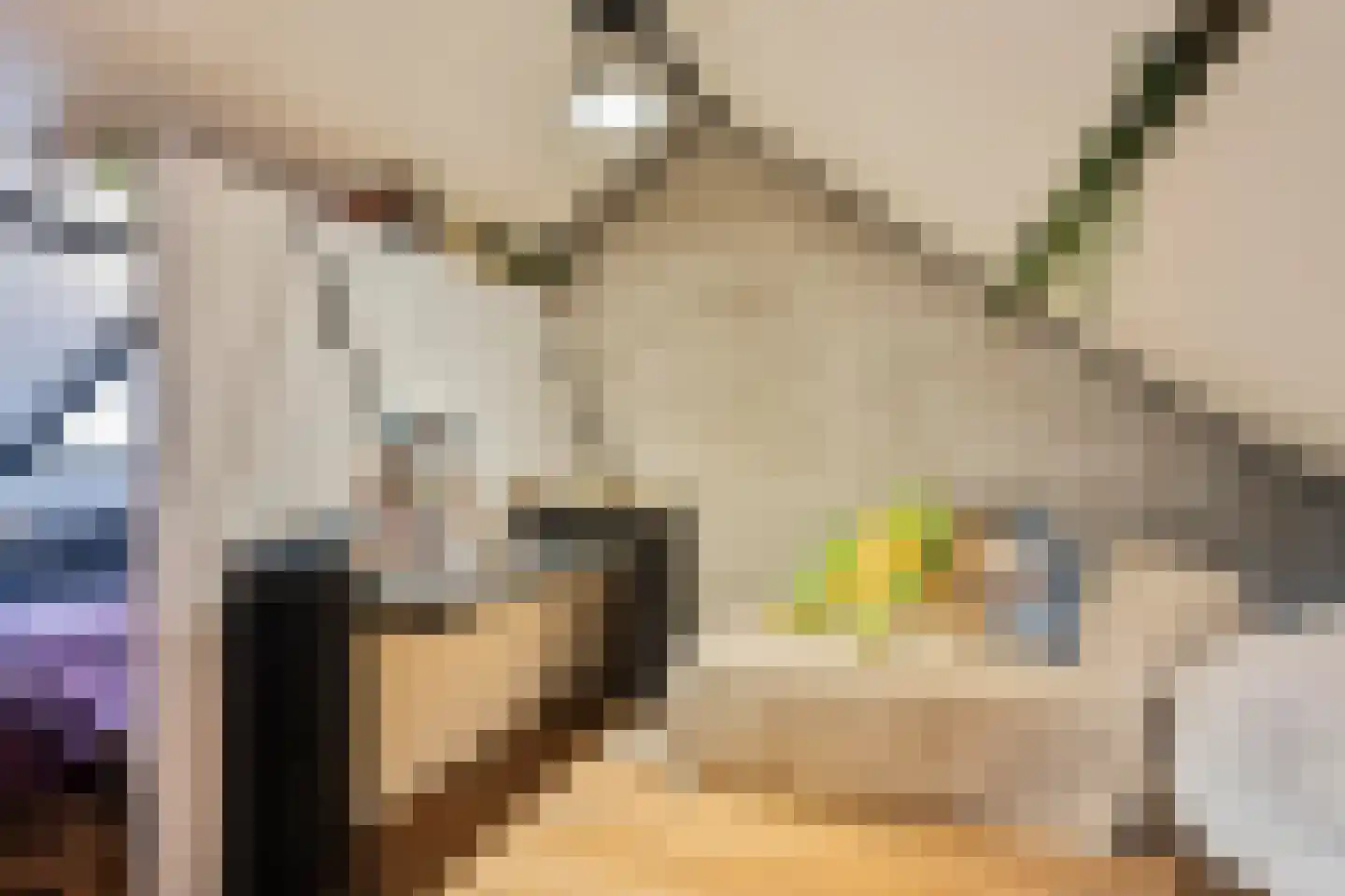 Jan van Daalstraat 35 Beers NB thumbnail 26